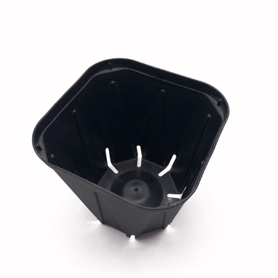 टिकाऊ होल सेल्स काला प्लास्टिक सीडलिंग पॉट छोटे चौकोर आकार का नर्सरी पॉट