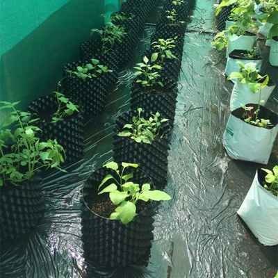 नई डिजाइन हवा फूल रोपण बर्तन disposable pruning जड़ बर्तन