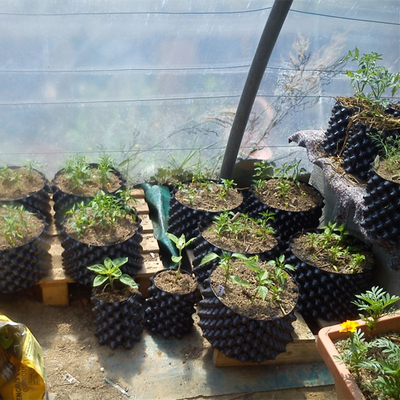 नई डिजाइन हवा फूल रोपण बर्तन disposable pruning जड़ बर्तन