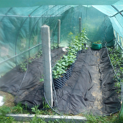 नई डिजाइन हवा फूल रोपण बर्तन disposable pruning जड़ बर्तन