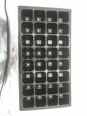 वन वृक्षों के लिए 2 मिमी मोटी 32-सेल प्लास्टिक पौध ट्रे - उम्र प्रतिरोधी और टिकाऊ