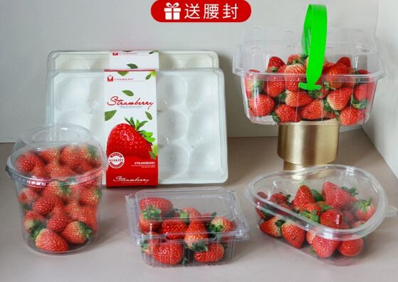 Customized PET Plastic Blister Packaging Box with Heat Sealing and Recyclable Material for Fruit and Medicine