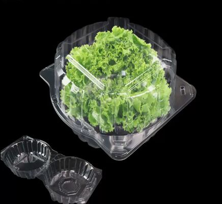 Customized Design Recyclable PET Plastic Blister Packaging with Heat Sealing for Fruit Packaging Box