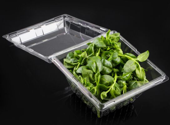 Customizable Recyclable PET Box for Fresh Vegetables and Fruits with Thermoforming Transparent Packaging