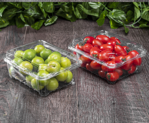 Food-grade transparent PET supermarket consumables - Plastic fresh produce trays - Inner packaging tray for disposable vacuum-formed plastic trays