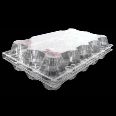 15packs डिस्पोजेबल पीईटी क्लियर प्लास्टिक एग ट्रे 71mm स्क्वायर एग ट्रे होल्डर
